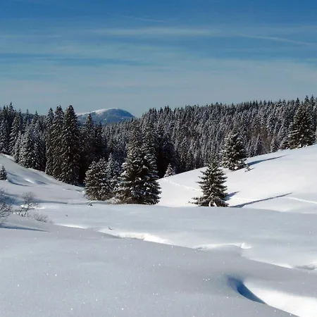 Schoene Aussicht Todtnau Buitenkant foto