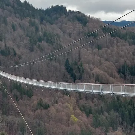 Schoene Aussicht Todtnau Buitenkant foto