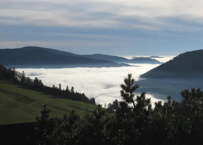 Schoene Aussicht