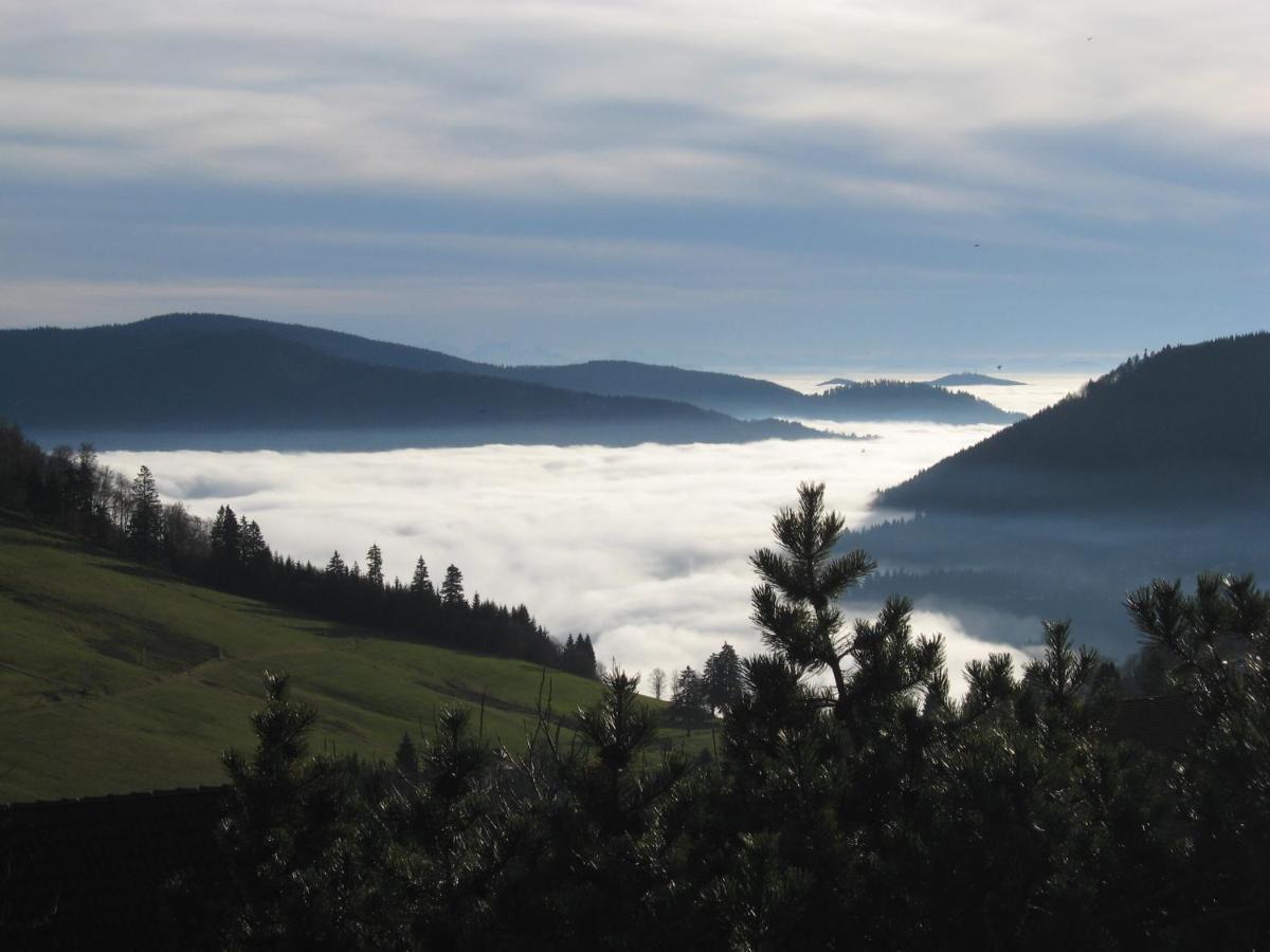 Schoene Aussicht Appartement
