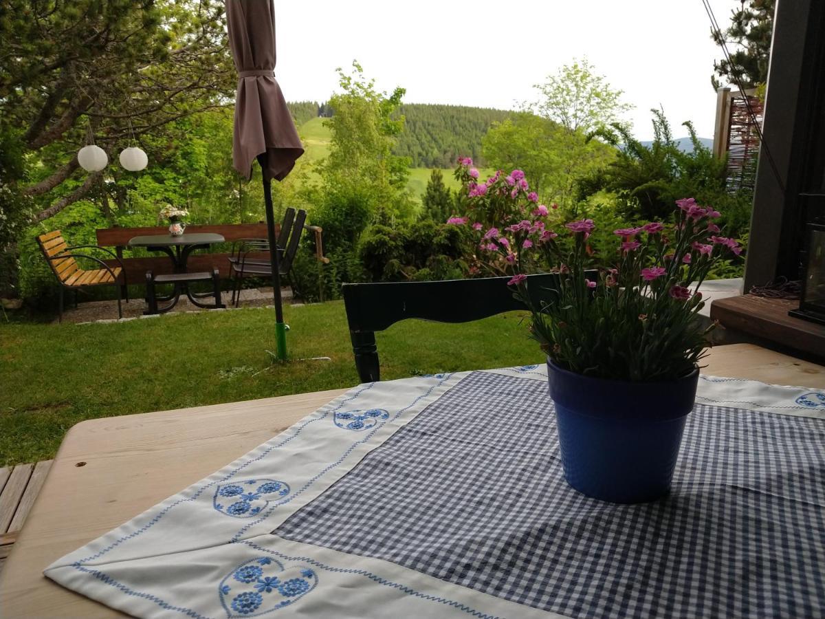 Schoene Aussicht Appartement Todtnau