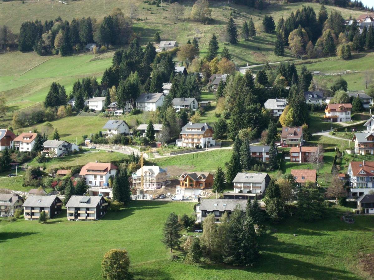 Schoene Aussicht Apartment Todtnau