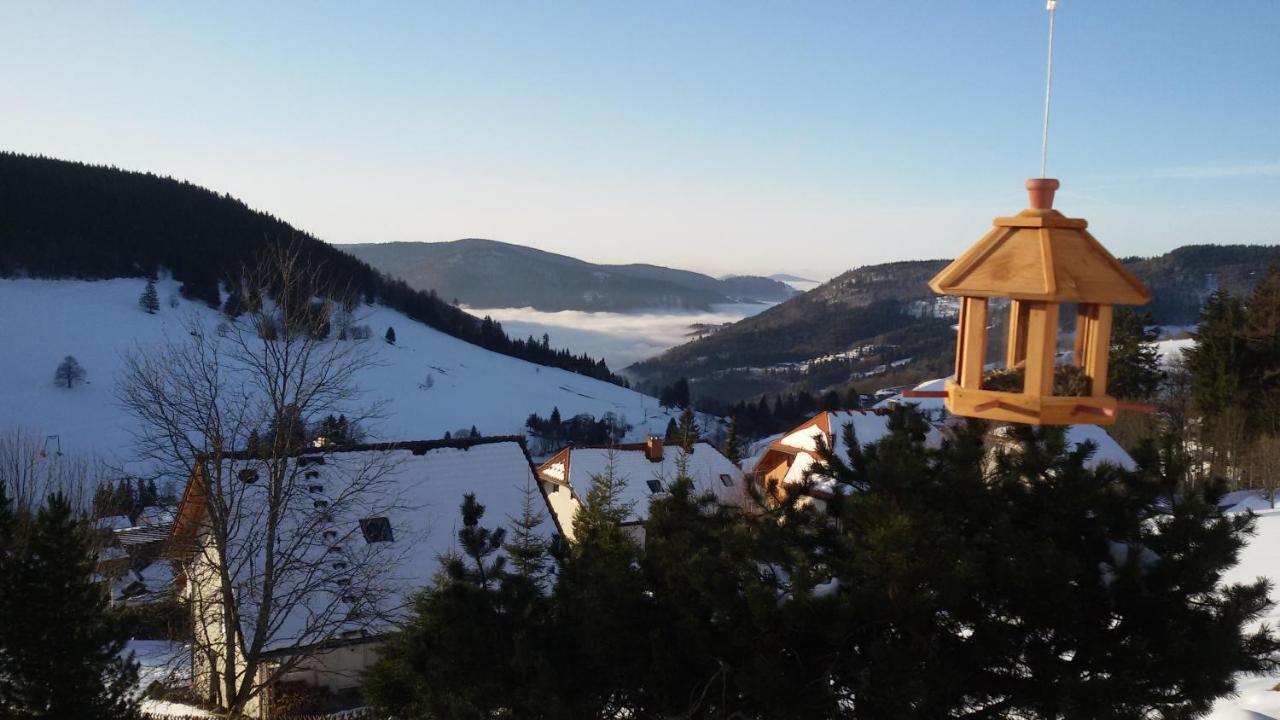 Schoene Aussicht