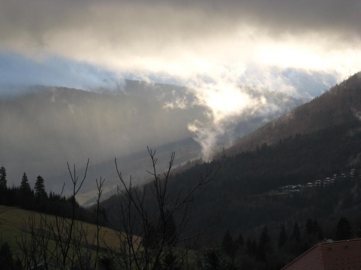 Appartement Schoene Aussicht Todtnau