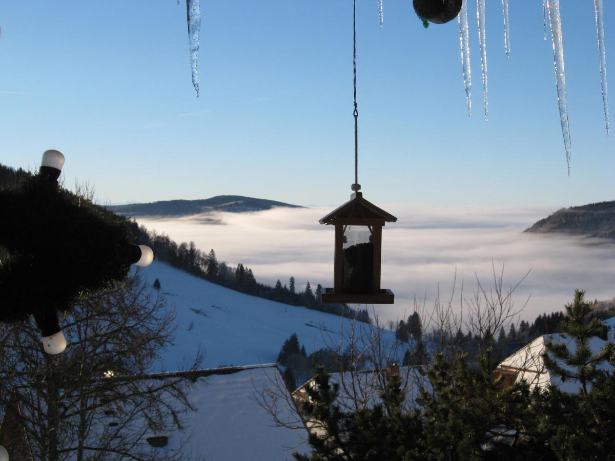 Schoene Aussicht * Todtnau