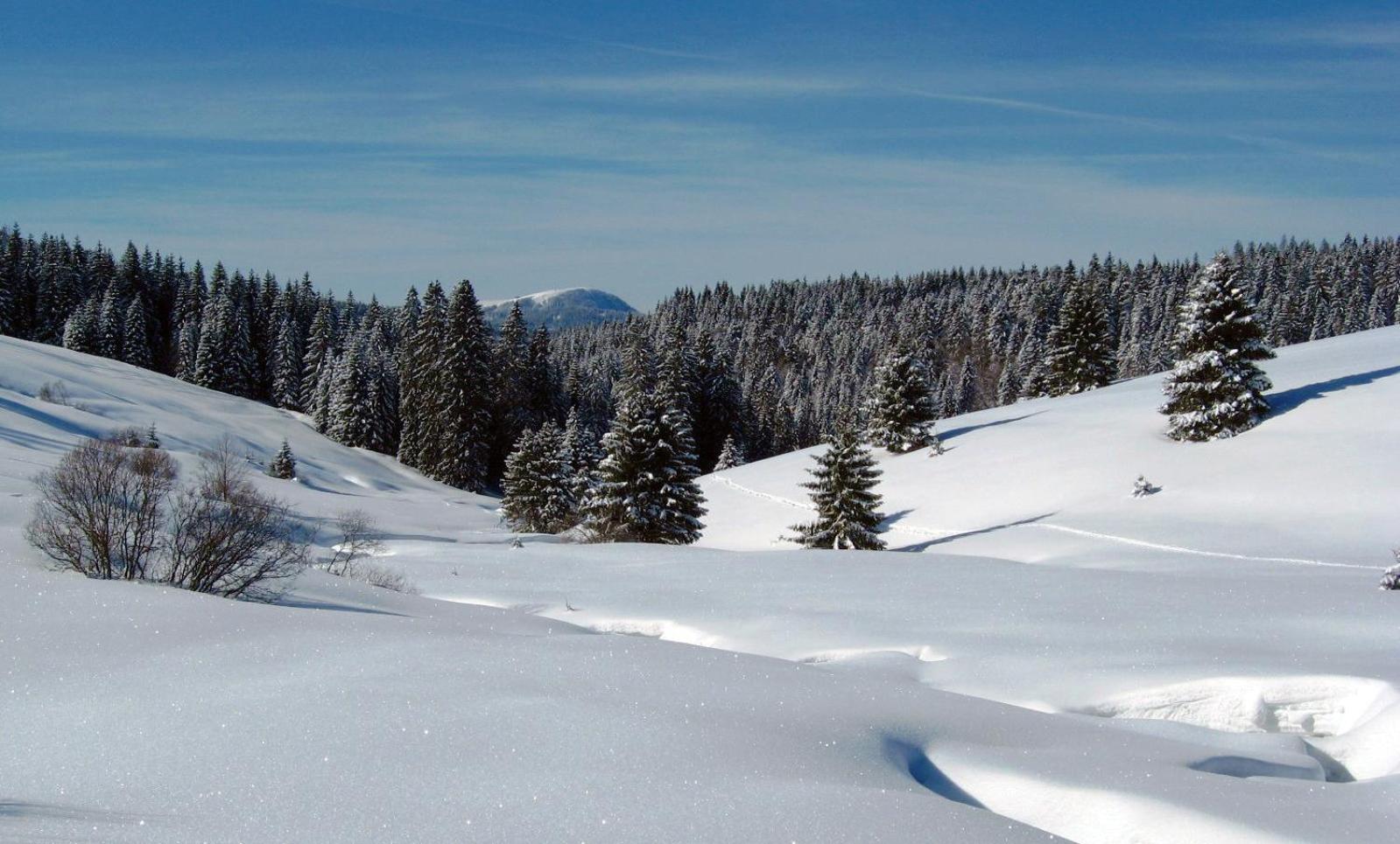 Schoene Aussicht Appartement